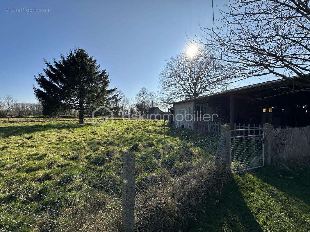 Grande maison familiale 235 m² avec terrain 7 180 m² - photo 15