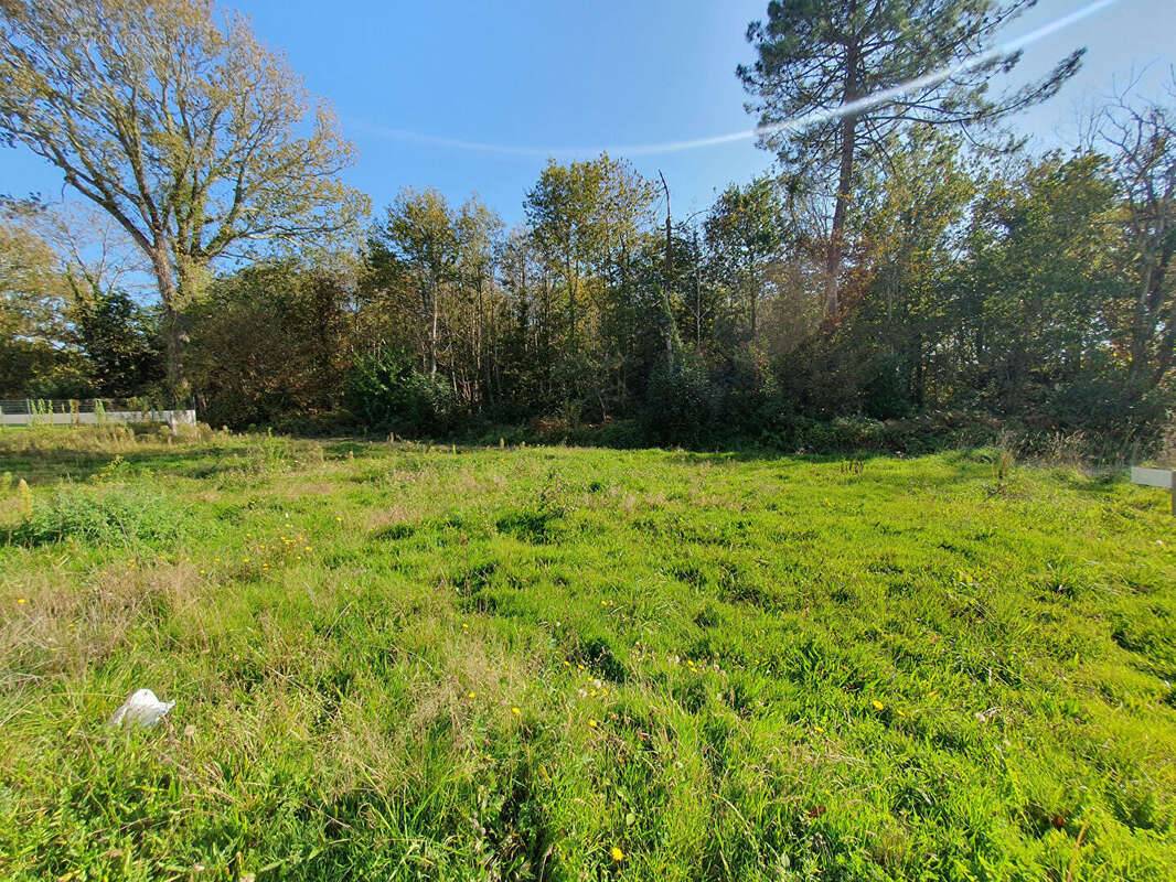 Terrain à QUIMPER