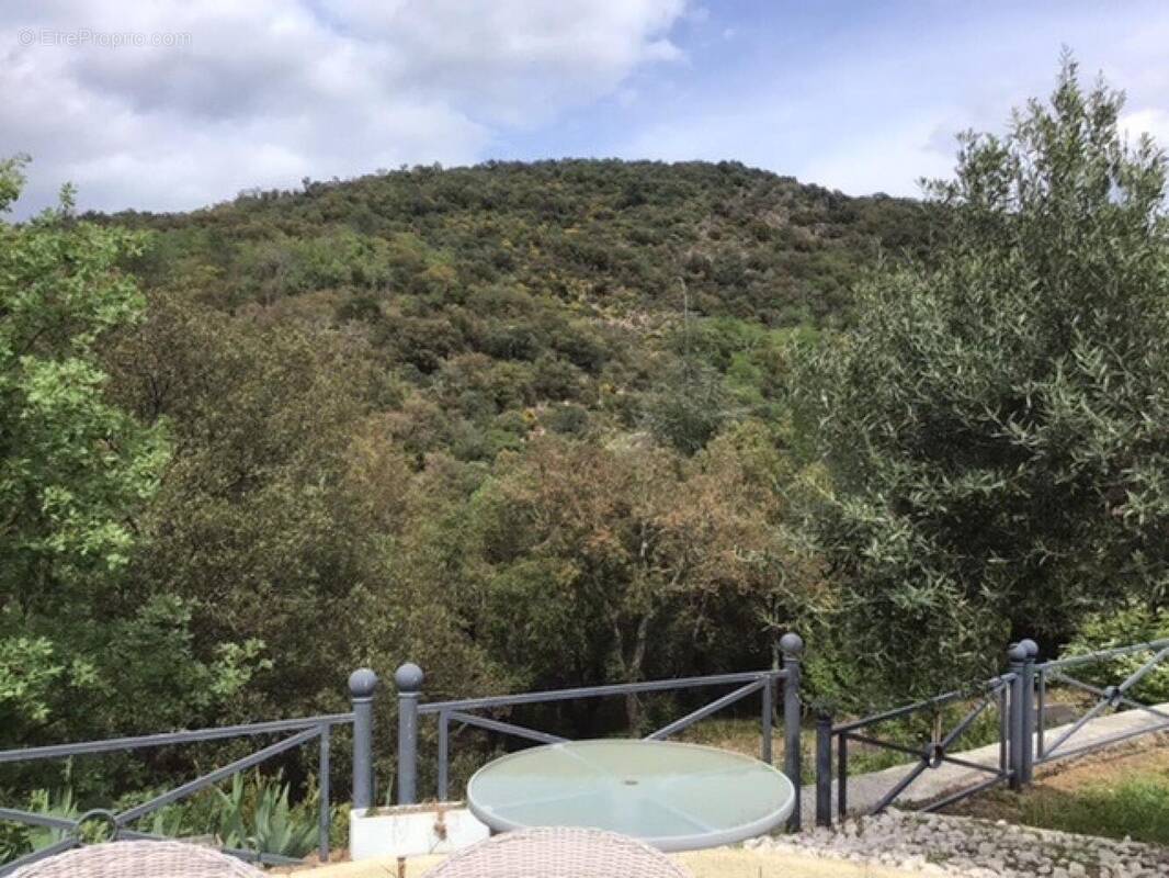 Photo 1 - Maison à BORMES-LES-MIMOSAS