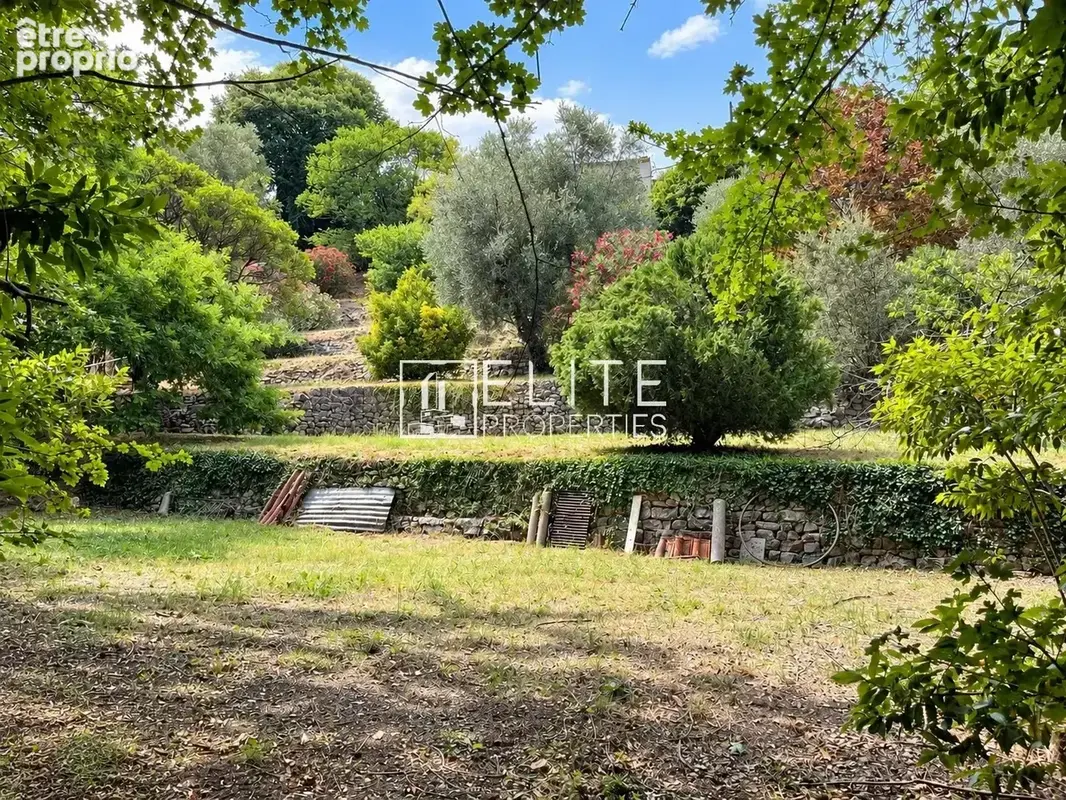 Photo Terrain à Grasse au prix de 229 000€