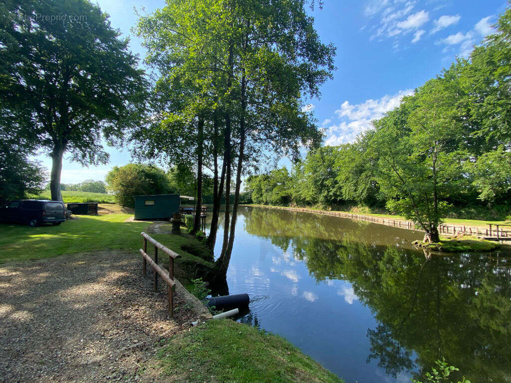 Terrain à LA FERTE-MACE