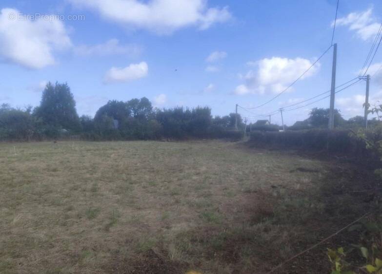 Photo Terrain à Illeville-Sur-Montfort au prix de 50 000€
