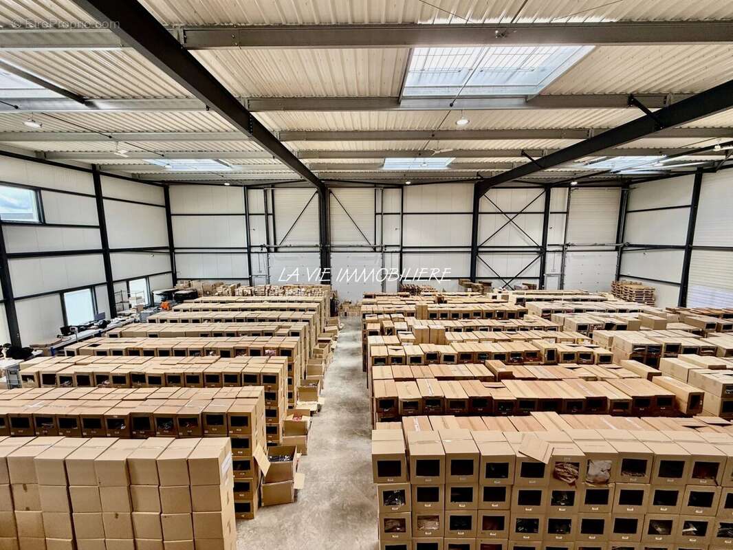 Commerce 1223 m² à Bailly-Romainvilliers  - photo 6