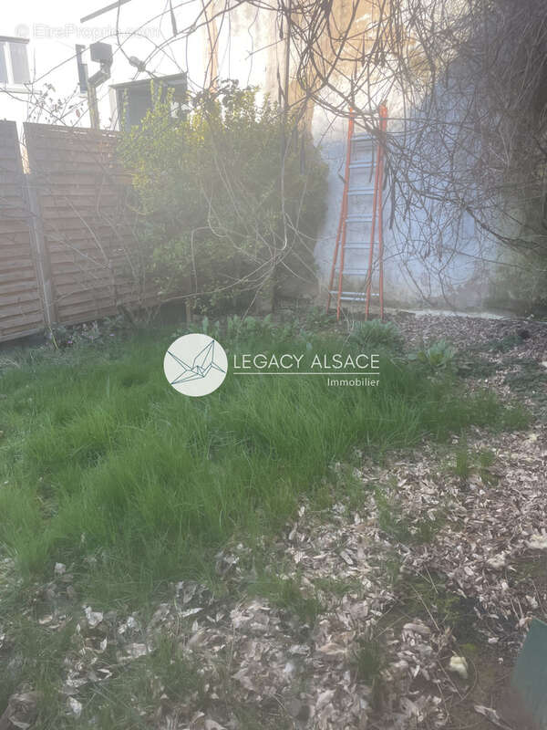 Appartement 2/3 pièces traversant de 67,17m2 avec jardin et cour, travaux à prévoir! - photo 9
