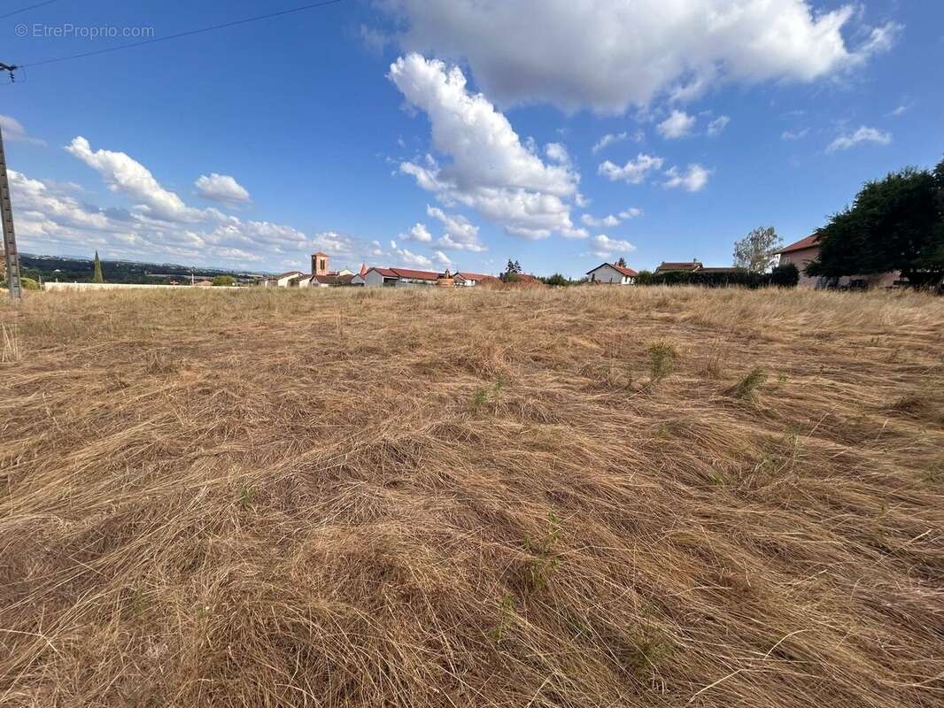 Terrain 2294 m² à Parigny  - photo 5