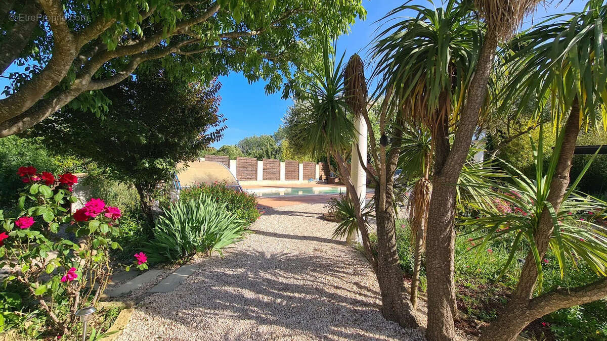 le jardin style anglais - Maison à TOURBES