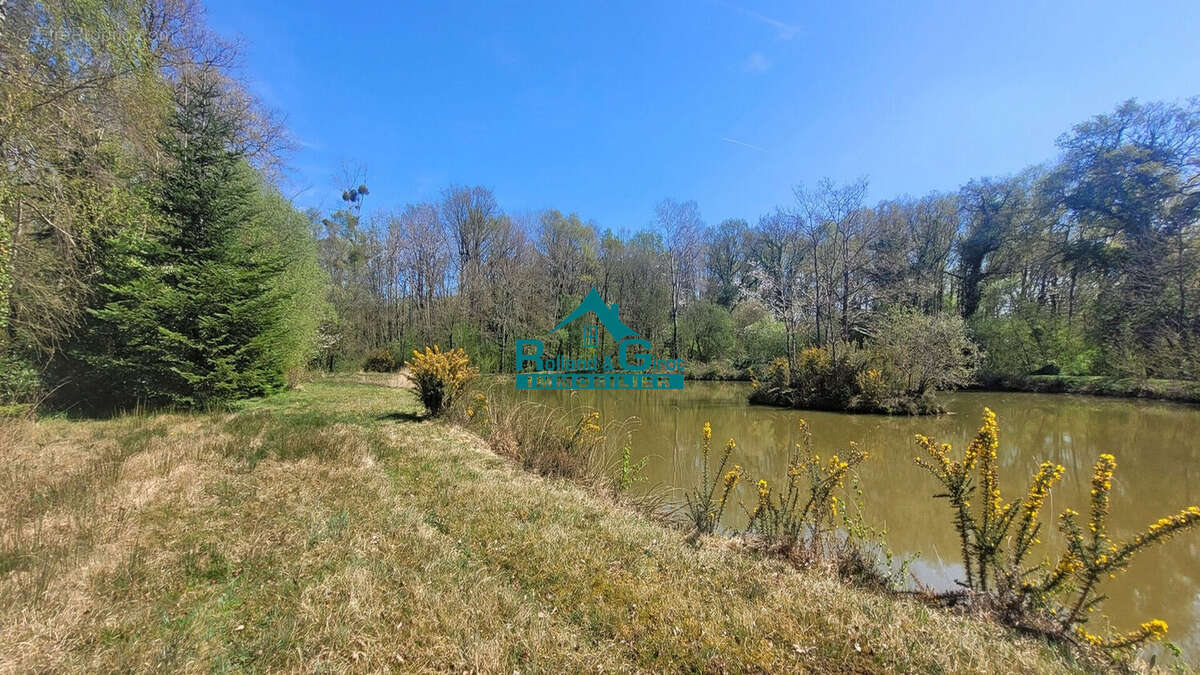 À vendre : Magnifique étang avec parcelle de lande à Sens de Bretagne - photo 3