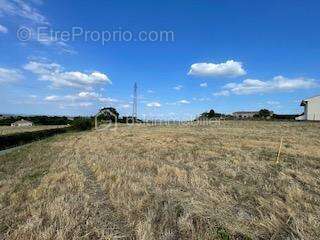 Terrain 994 m2 constructible - photo 2