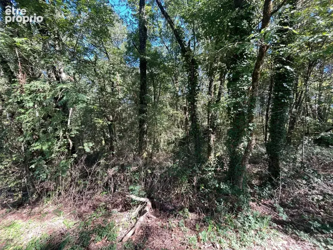 Photo Terrain à Ussac au prix de 25 000€
