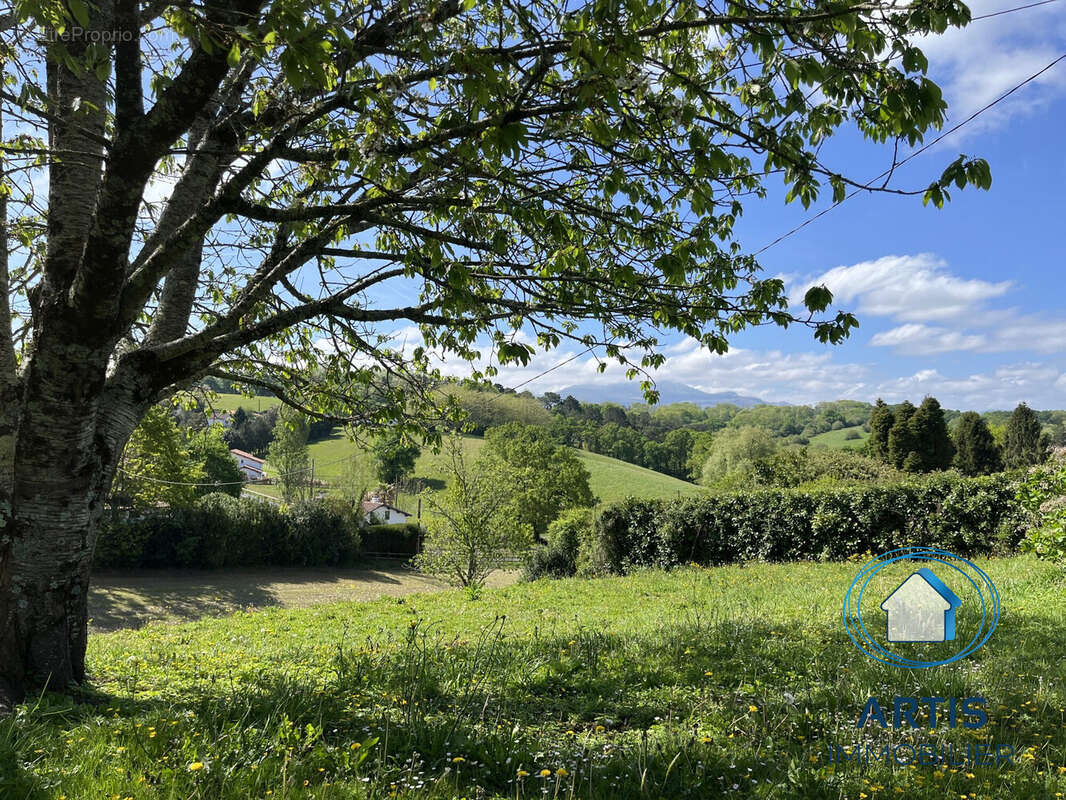 Terrain à AHETZE