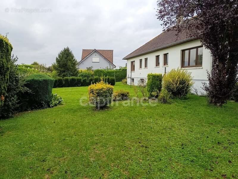 Maison à HAUTE-AVESNES