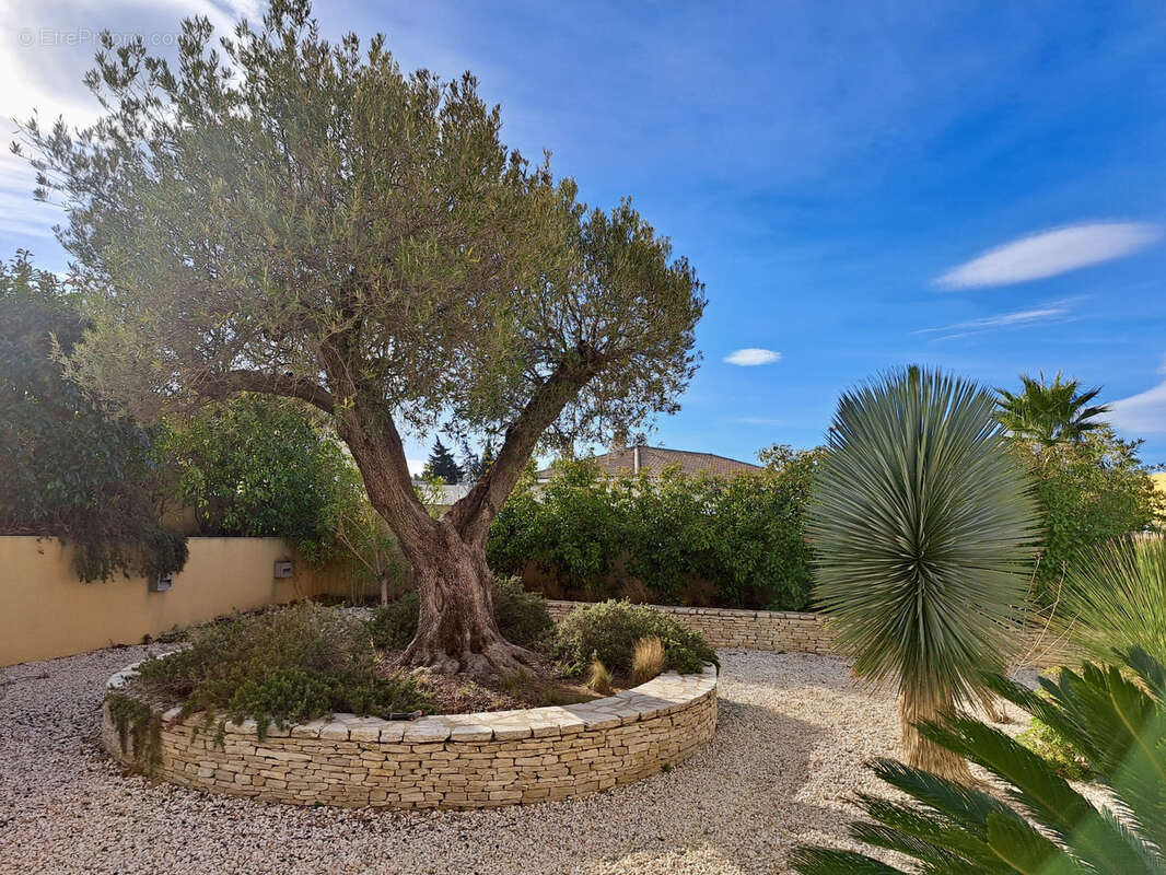 Maison à COLOMBIERS