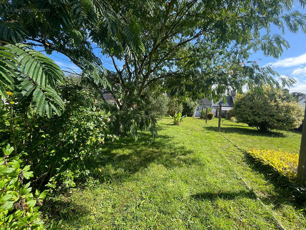 Maison à CHATEAUNEUF-DU-FAOU