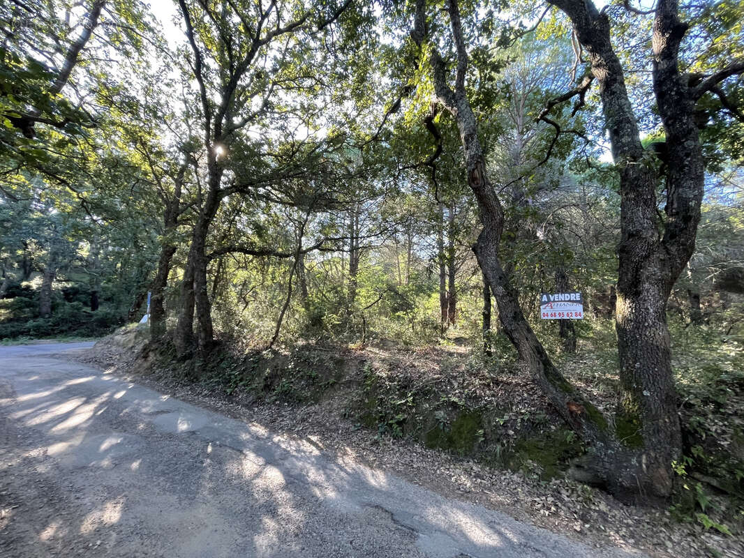 Terrain à ARGELES-SUR-MER