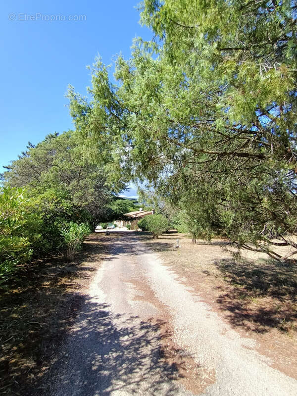 Maison à PEYMEINADE