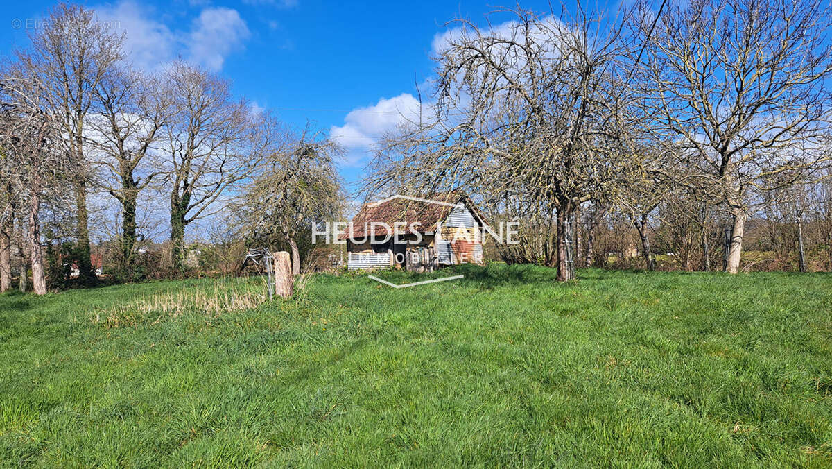 Maison à vendre - ISIGNY-LE-BUAT - 50540 - photo 9