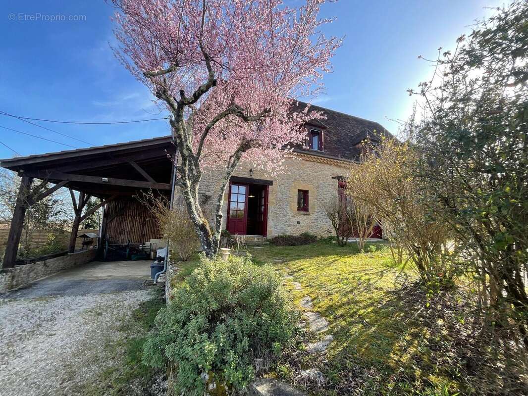 Photo 7 - Maison à LE BUISSON-DE-CADOUIN