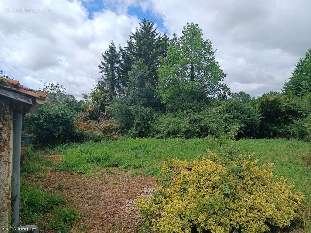 Beau Projet de Rénovation dans un Beau Hameau de Nanteuil-en-Vallée - photo 15