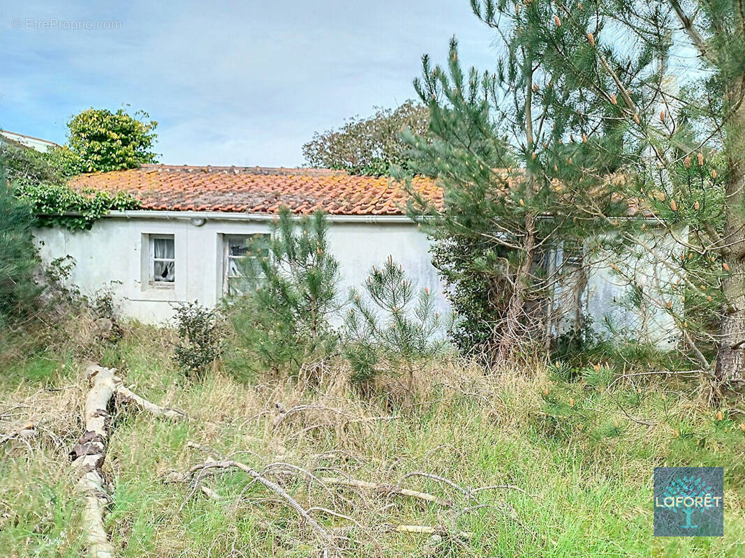 Maison à SAINT-HILAIRE-DE-RIEZ