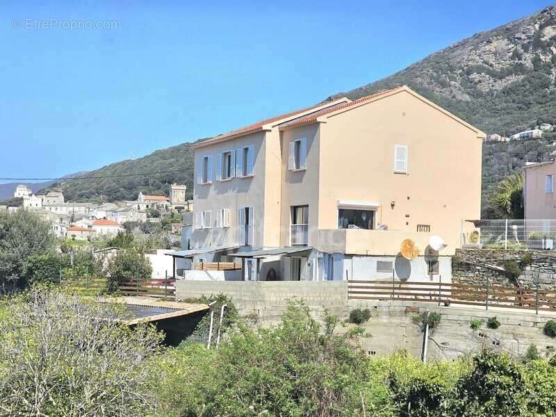 Maison familiale de 226 m2 divisée en 4 habitations indépendantes, vue mer, terrain 2000 m2, garage et terrasses à MORSIGLIA (HA - photo 2