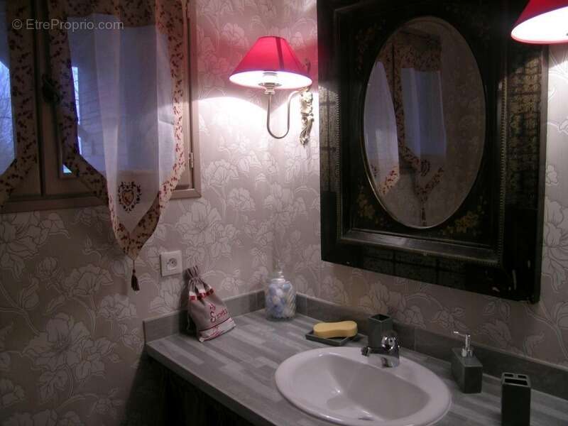 Propriété à vendre SAINT HILAIRE ( allier) comprenant une maison et un gite sur un parc de 23433 m² - photo 29