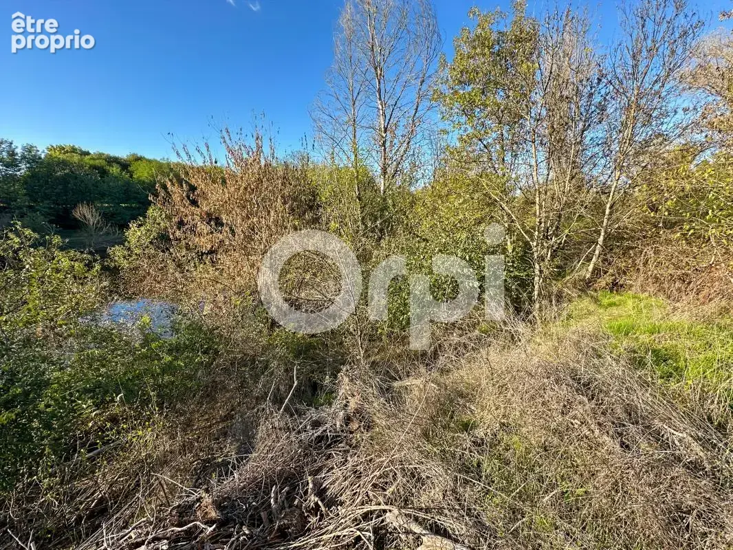 Terrain À Vendre 5 960 m² - photo 11