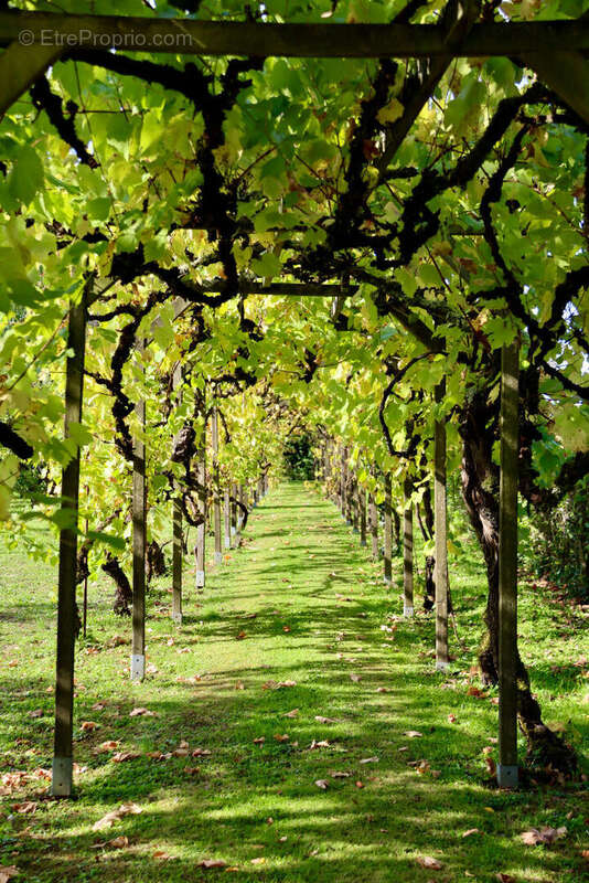 Maison à FOUSSAIS-PAYRE