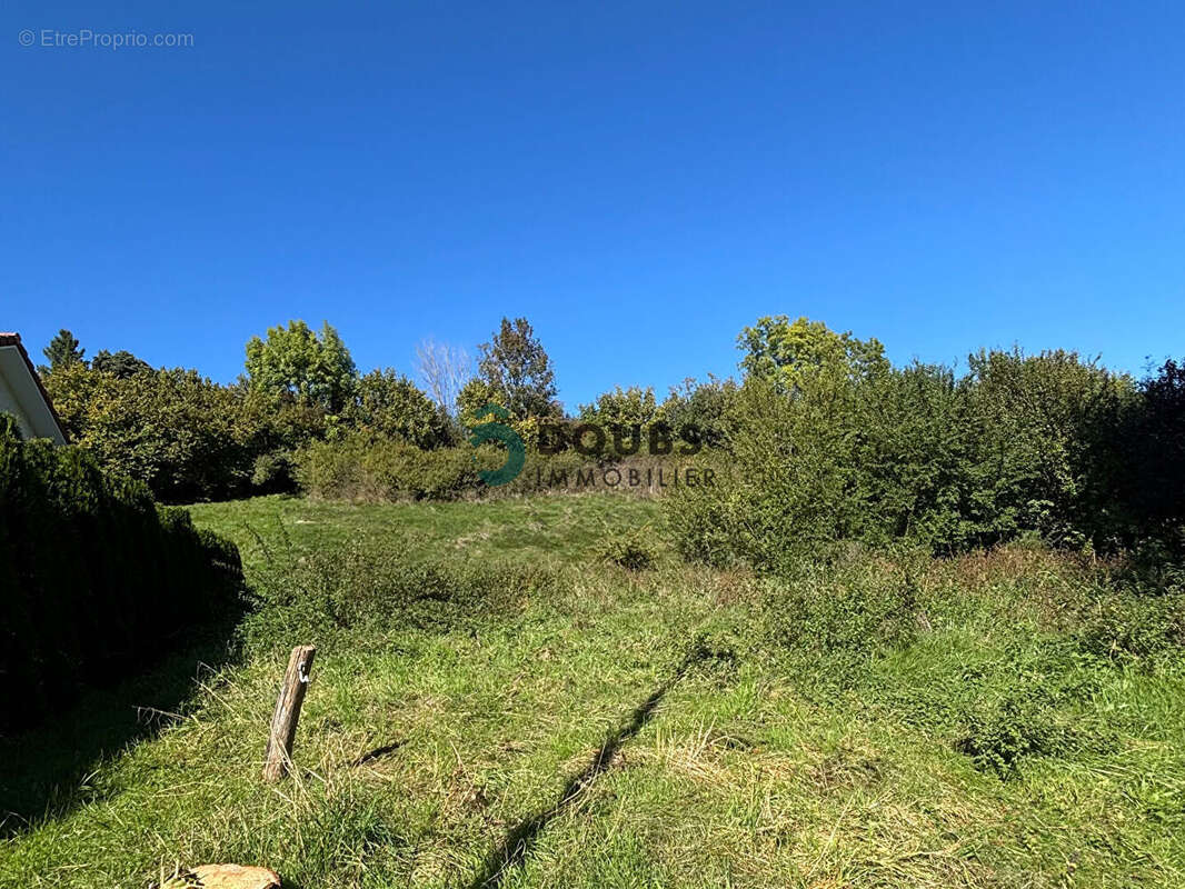 Terrain à GUYANS-VENNES