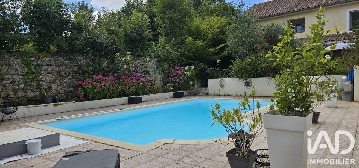 Maison 384 m² à Villeneuve-Lecussan  - photo 2
