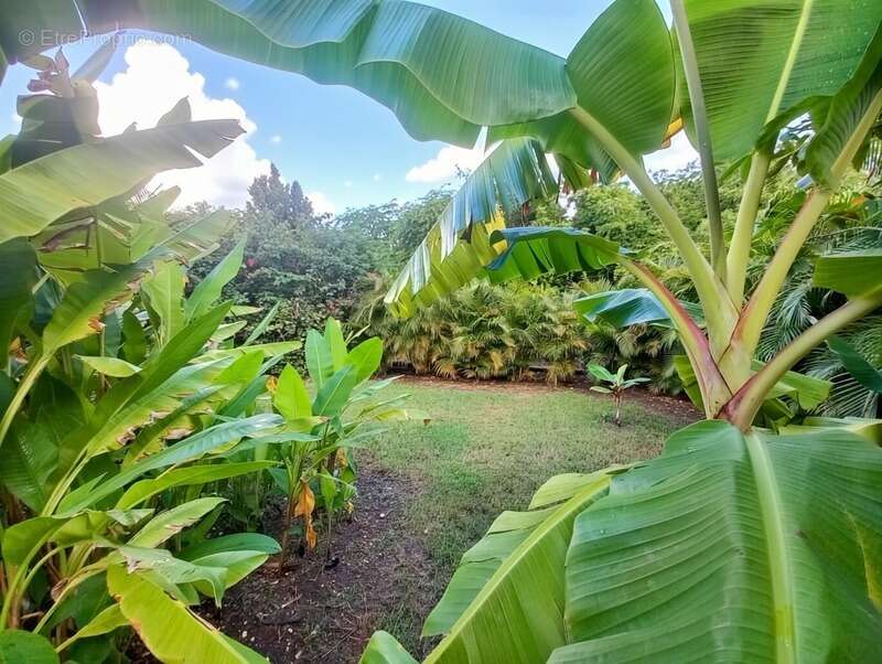 Maison à SAINT-FRANCOIS