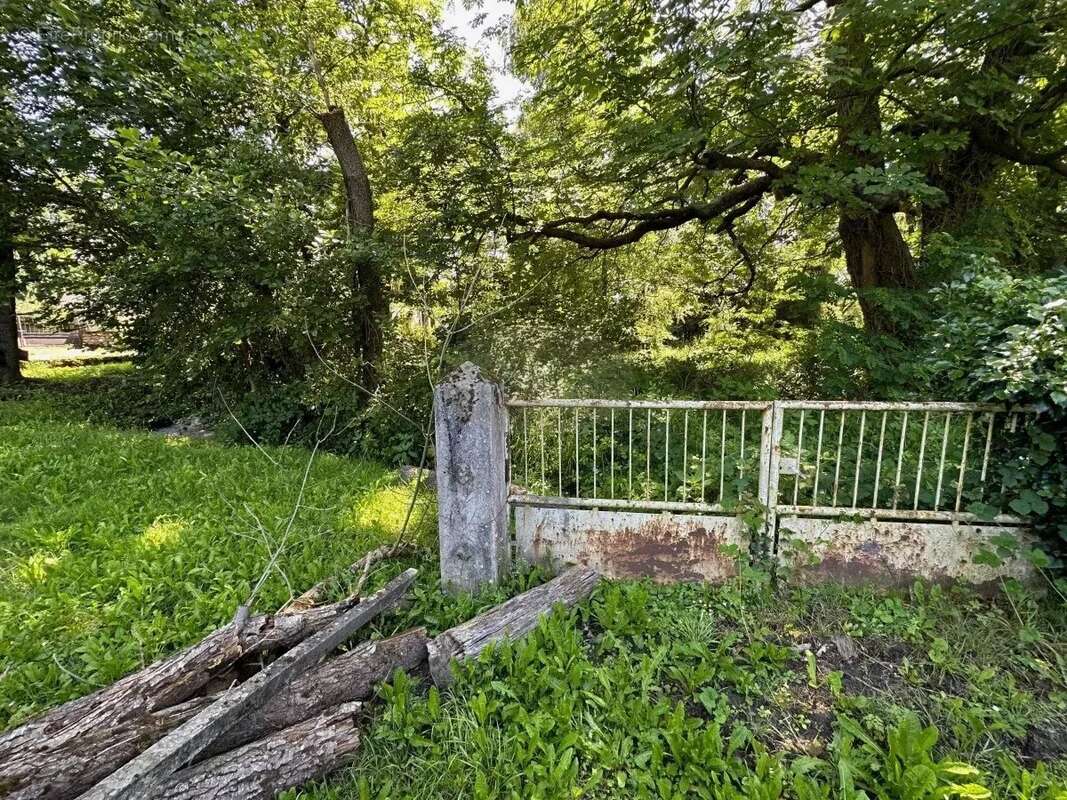 Maison à SAINT-LAURENT-DE-NESTE