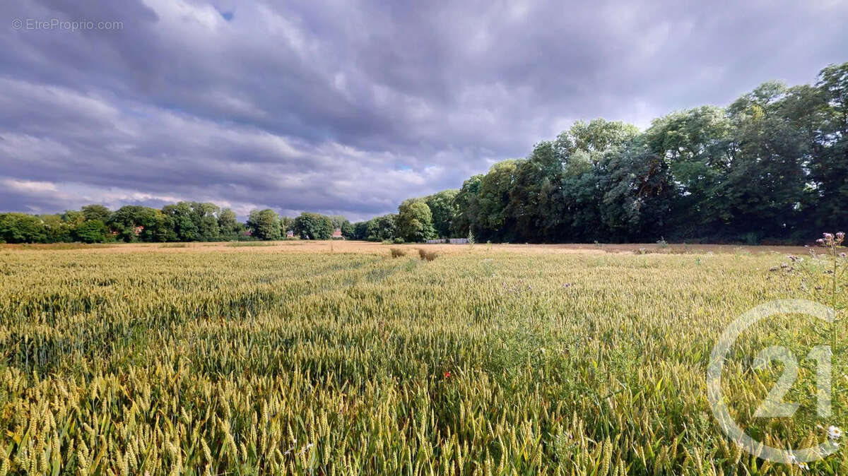 Terrain à SAINT-QUENTIN