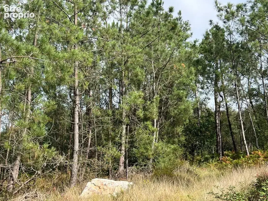 À vendre – argol – finistère – presqu’île de crozon-exceptionnel terrain de loisirs de 40 000 m² - photo 4