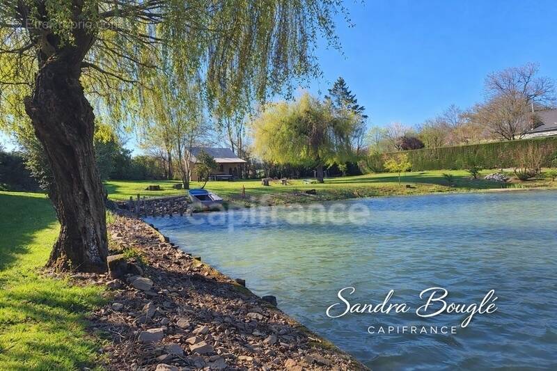 Terrain à MONTIGNE-LE-BRILLANT