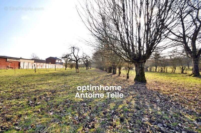 Terrain à POMMEREUIL