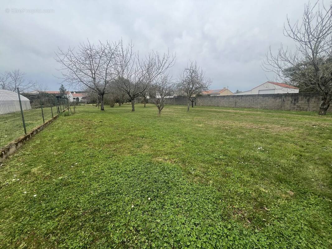 Terrain à BOURGNEUF-EN-RETZ