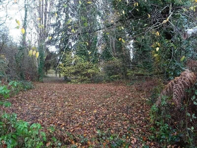 A panazol beau terrain de 8182 m² avec cu dans une impasse - photo 2