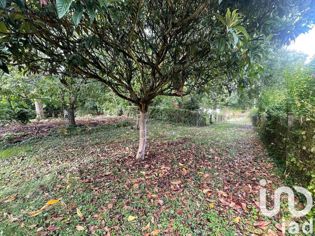 Photo 3 - Terrain à LARCAY