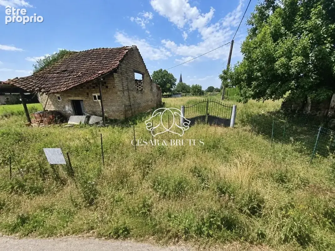 Terrain 1 606 m² à vendre à Savigny-Sur-Seille (71440) - photo 2