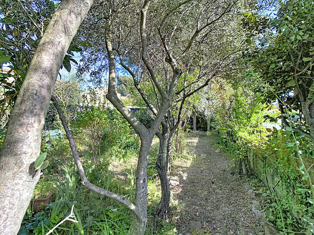 Ensemble immobilier - Maisons - Carpentras - photo 17