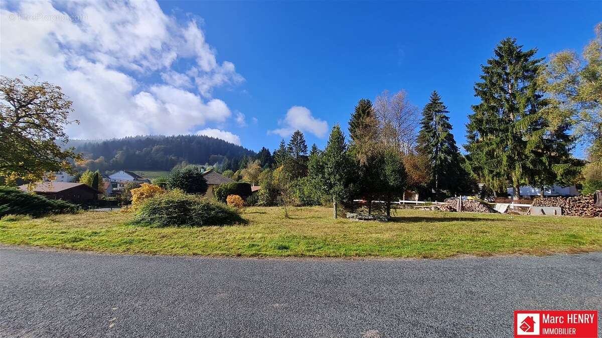 Terrain 925 m² à Le Tholy  - photo 2
