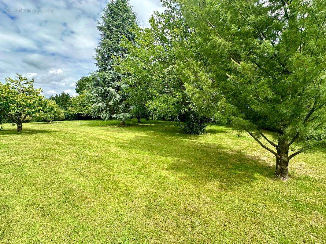 Terrain à BUZET-SUR-BAISE