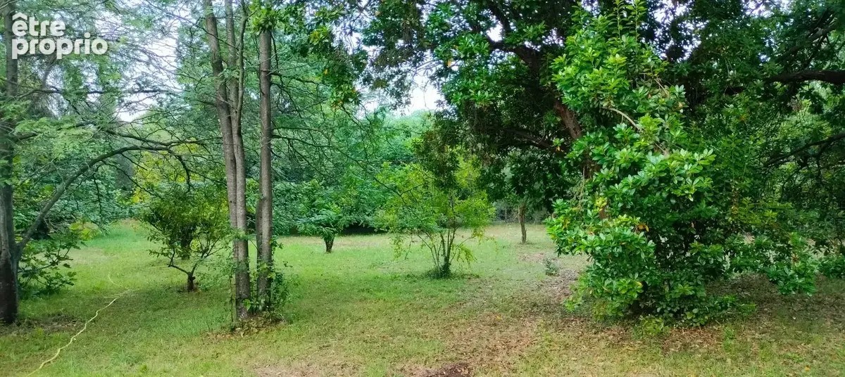 A vendre Terrain de 2200 m2, plat, arboré et clôturé à SAN NICOLAO (HAUTE CORSE) - photo 2