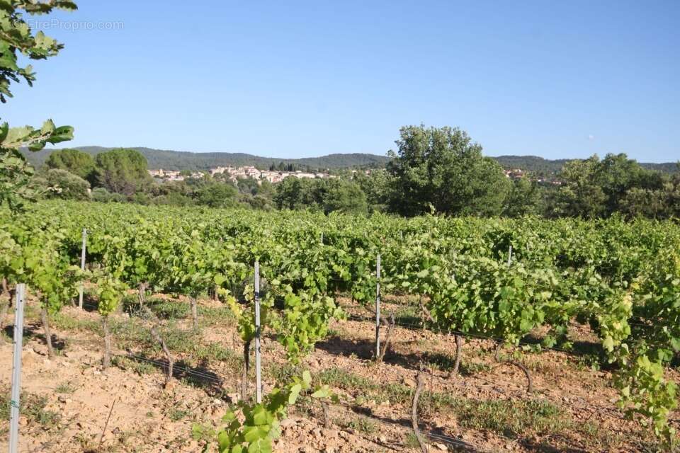Terrain à CARCES