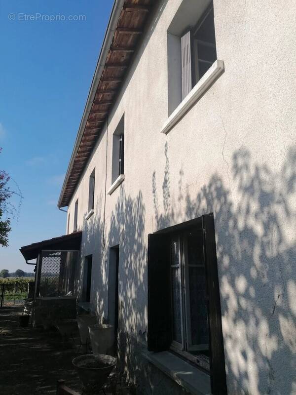 Maison à LISLE-SUR-TARN