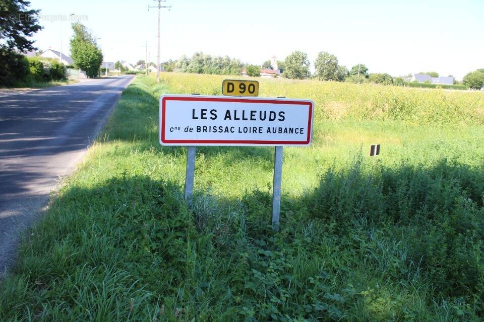 Terrain à LES ALLEUDS