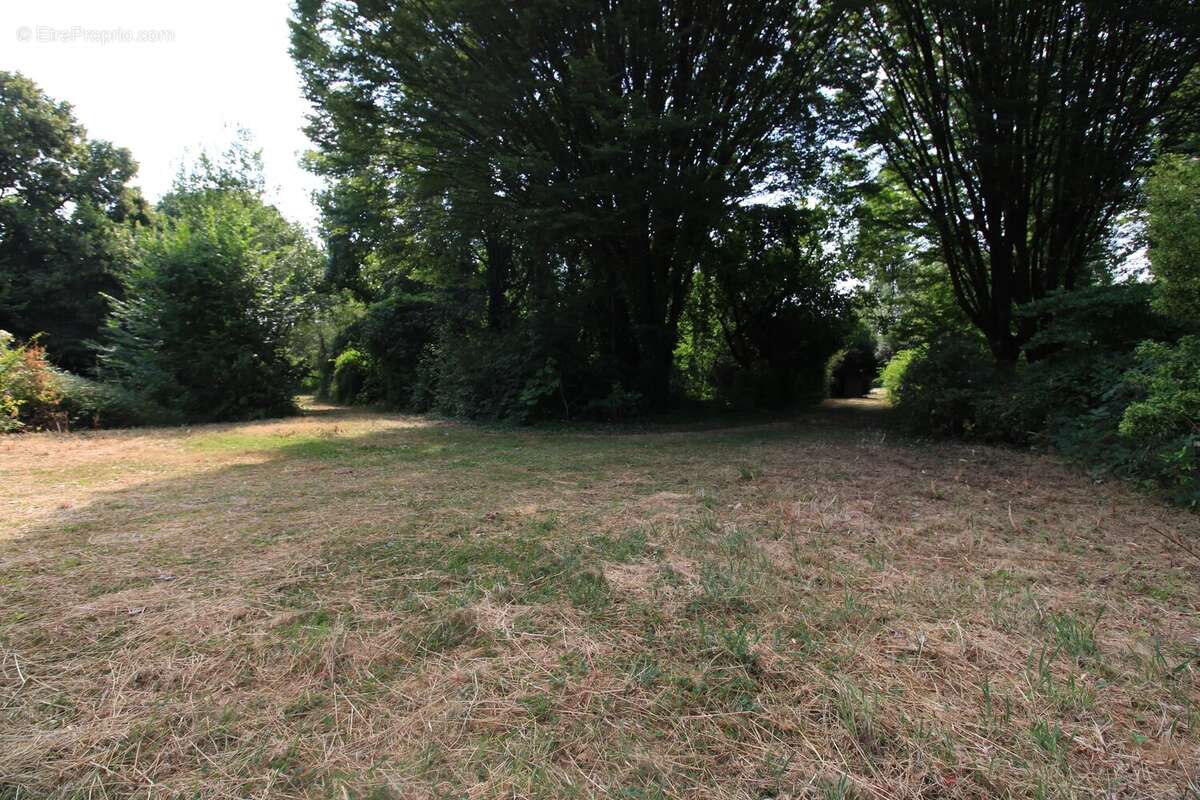 Propriété d'architecte de 316 m² sur un terrain de 14000 m² - photo 5
