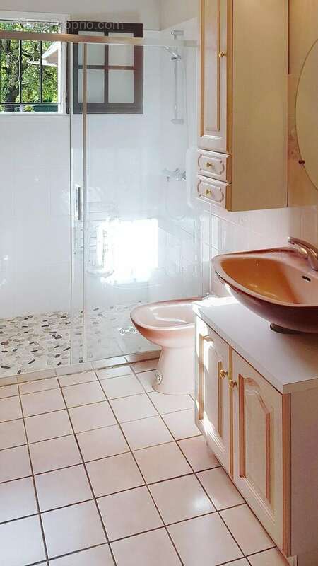 Photo 6 - Maison à SAINT-JEAN-DE-BRAYE