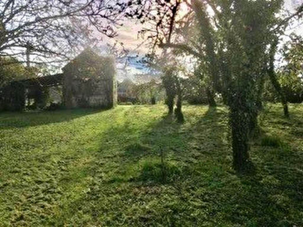 Terrain à CRUCHERAY