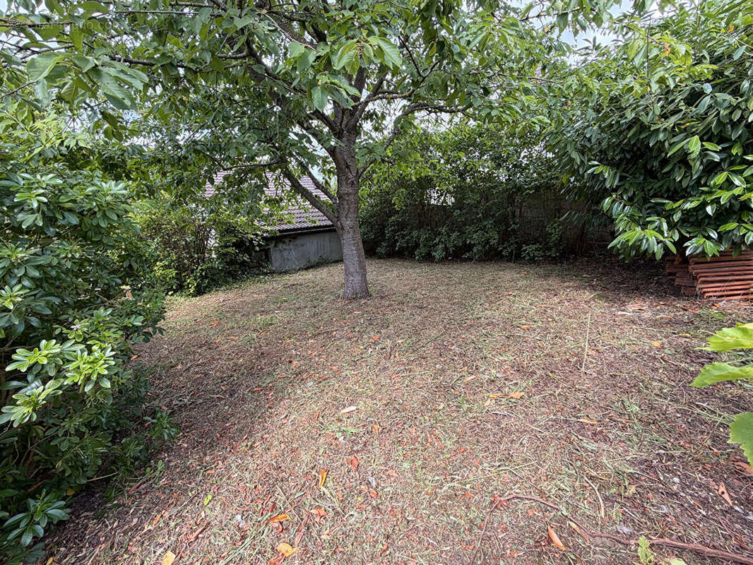 Maison Draveil 5 pièce(s) 90 m2 - photo 3